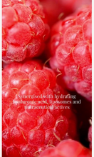 Load image into Gallery viewer, Performance Spa Facials