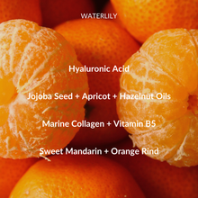 Load image into Gallery viewer, Signature Seasonal Spa ~ Rejuvenating skin ritual
