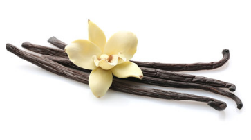 Japanese Honeysuckle Small Scented Candle