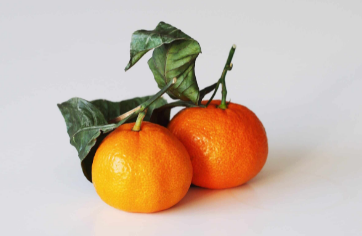 Sandalwood & Vanilla Large Scented Candle