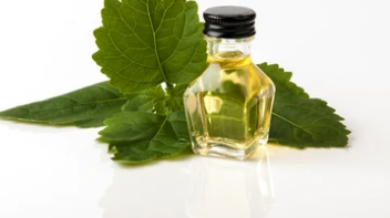 Patchouli & Honey Large Scented Candle