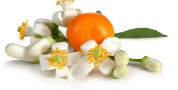 Lemongrass & Ginger Small Scented Candle